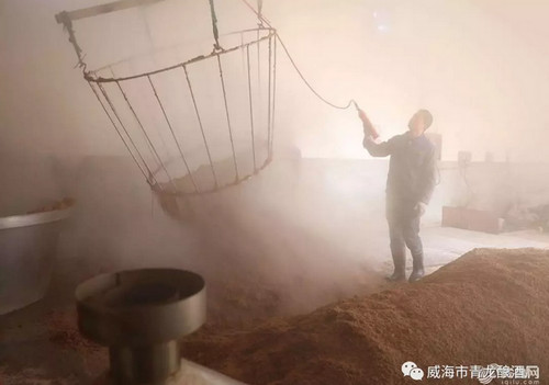 威海烧酒厂家青龙酿酒